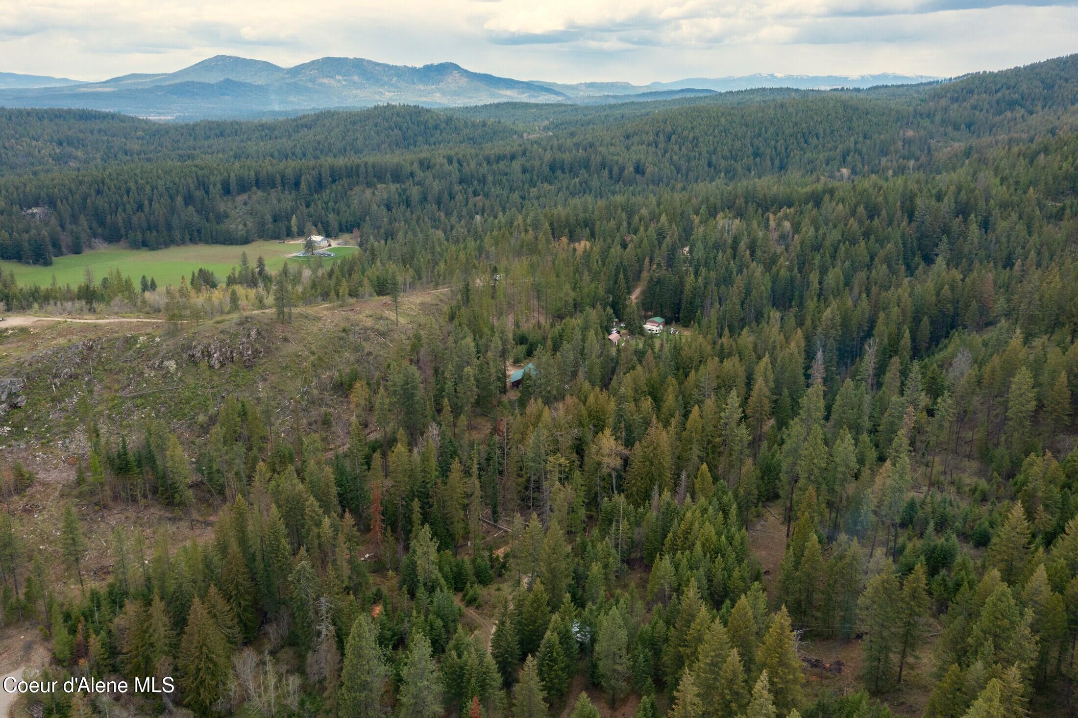 1142 Salee Creek Road Athol, ID 83801 - Photo 54 of 62 DJI_0757-HDR-13