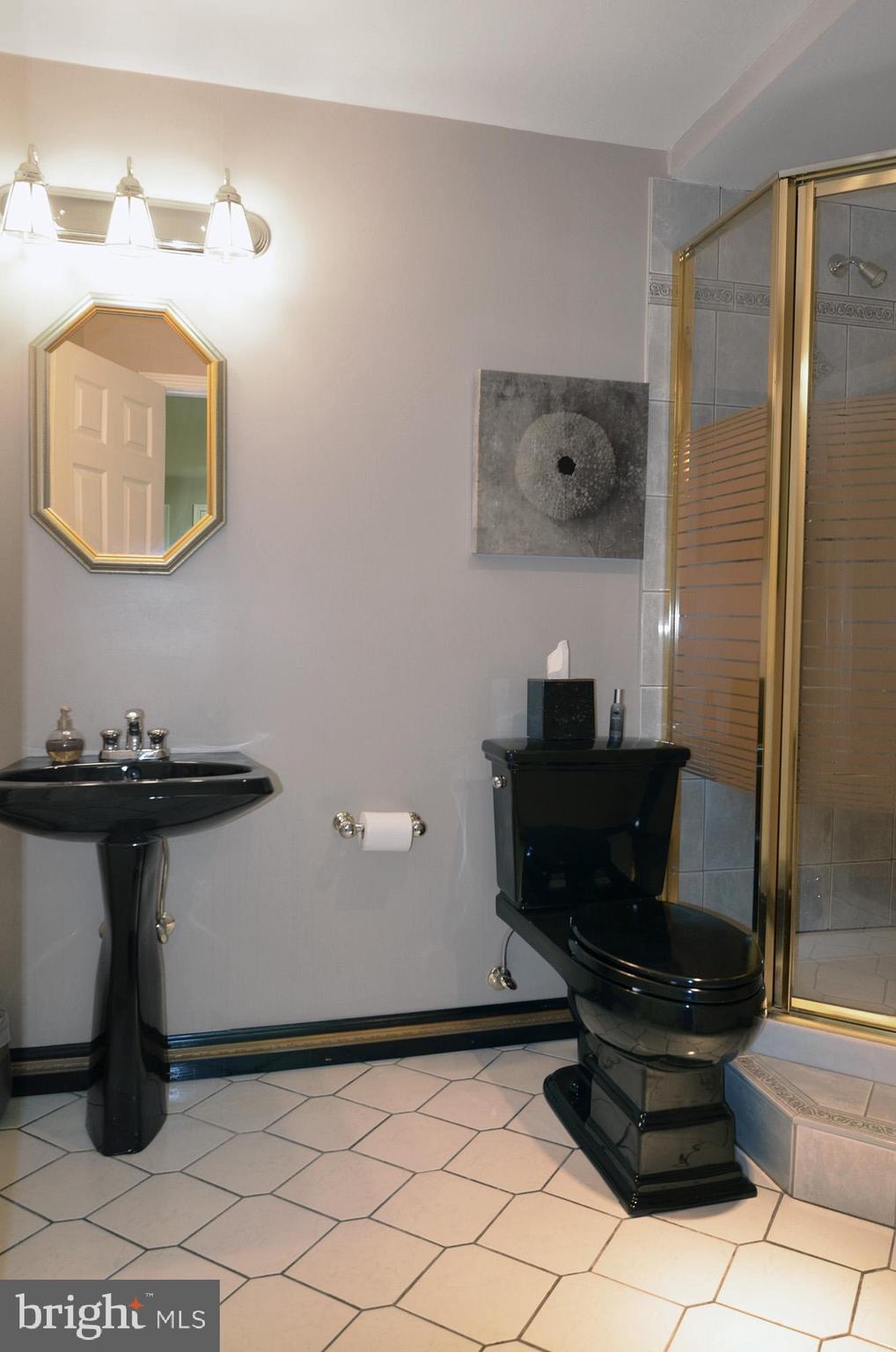 5819 Stone Ridge Drive Centreville, VA 20120 - Photo 65 of 72 Full, dual entry, lower level bathroom