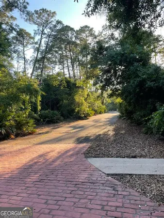 a view of a yard with an tree