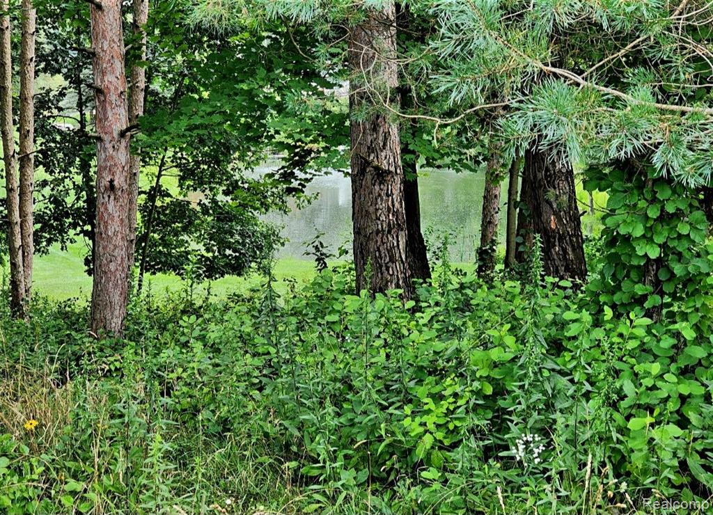 0 Lake George Road Oakland, MI 48363 - Photo 7 of 9