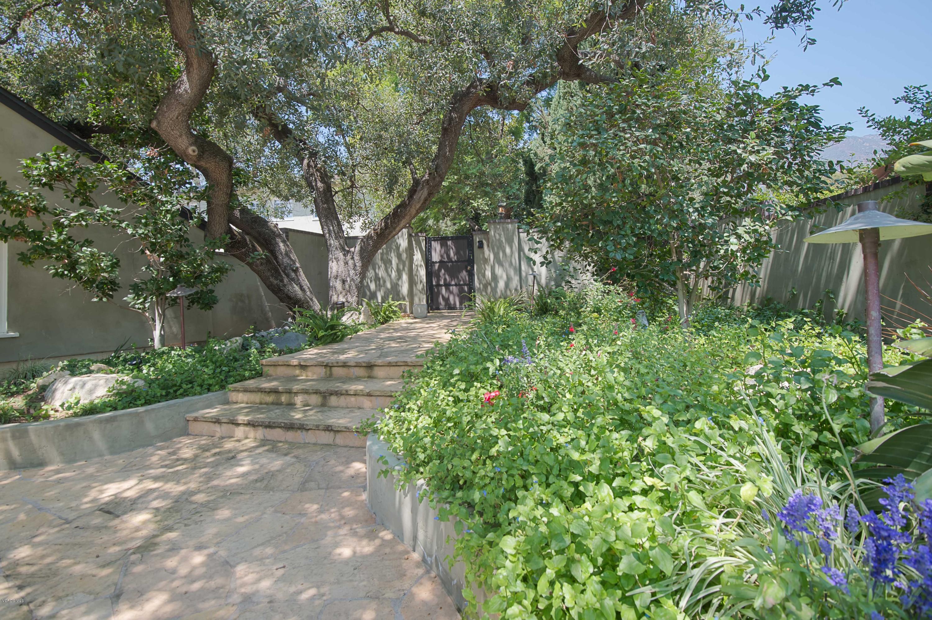 1447 Edgecliff Lane Pasadena, CA 91107 - Photo 2 of 33 a view of a yard with plants and large trees