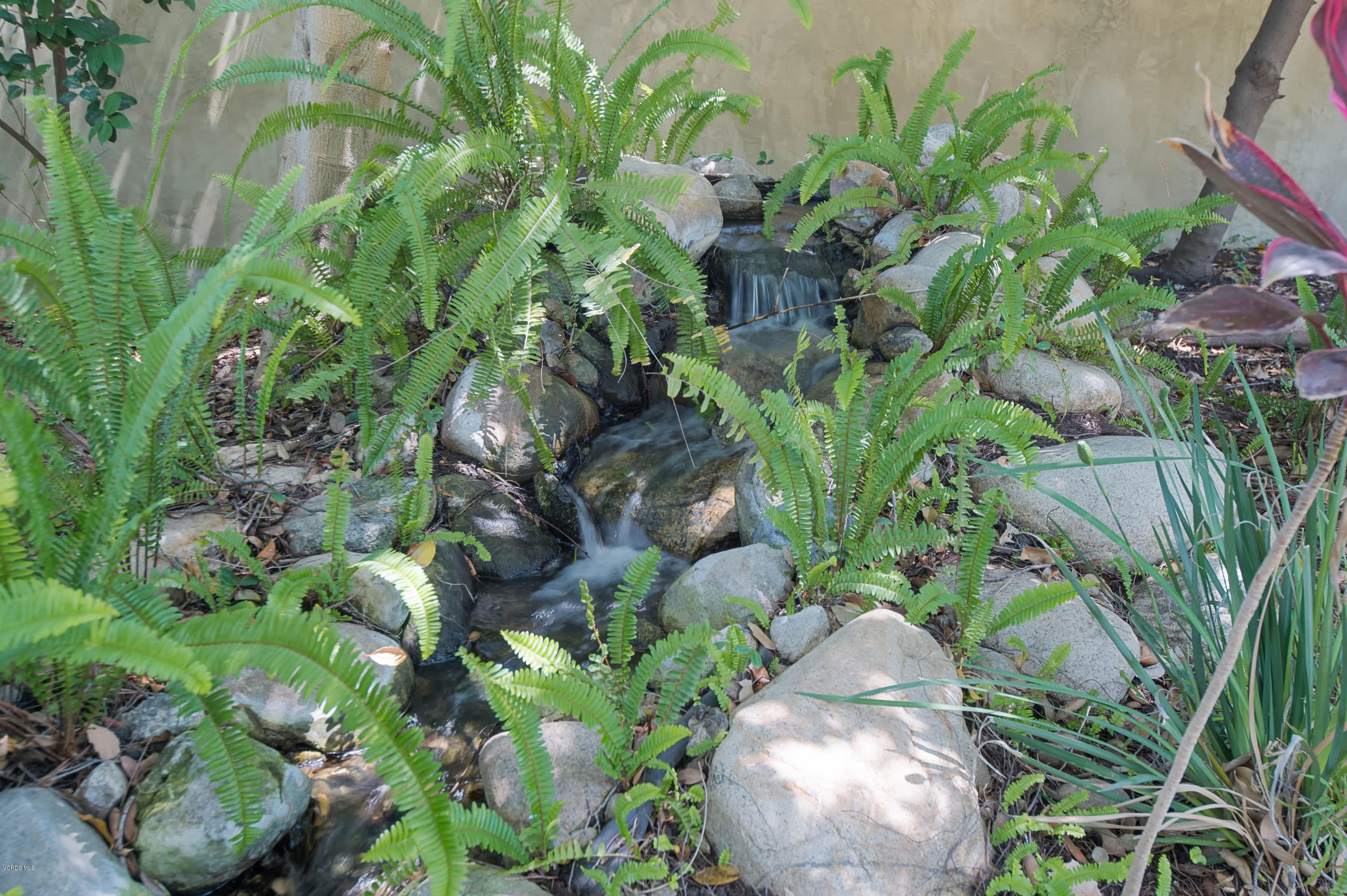 1447 Edgecliff Lane Pasadena, CA 91107 - Photo 6 of 33 a view of a plant with a plant