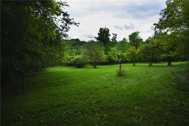 670 Lindsay Road Carnegie, PA 15106 - Photo 22 of 25 Peaceful Lower Level of Yard
