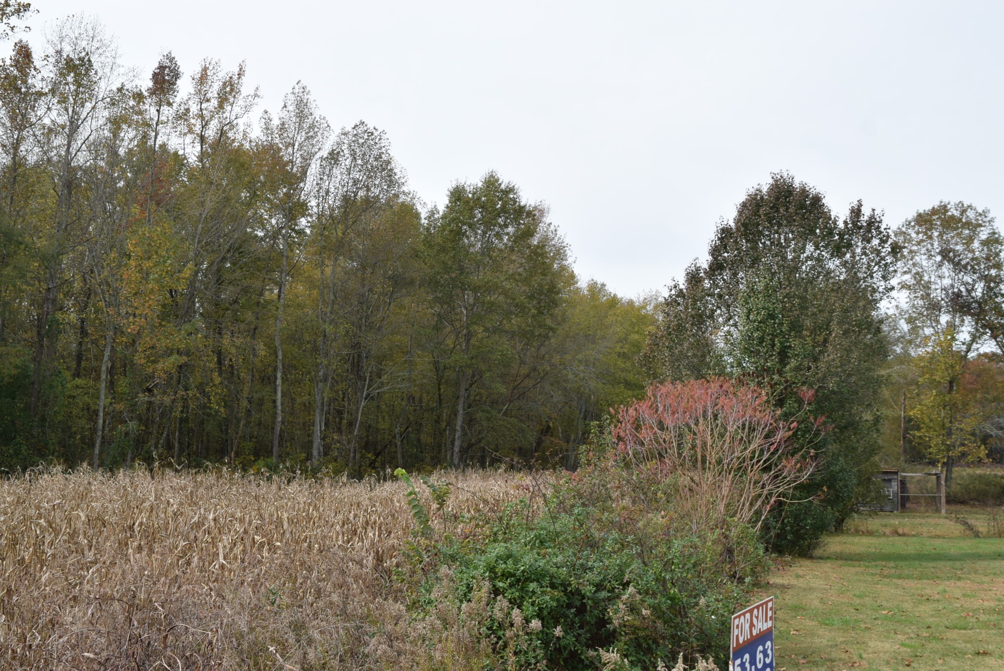 1350 Ramsey Road Morrison, TN 37357 - Photo 3 of 4 a view of a yard