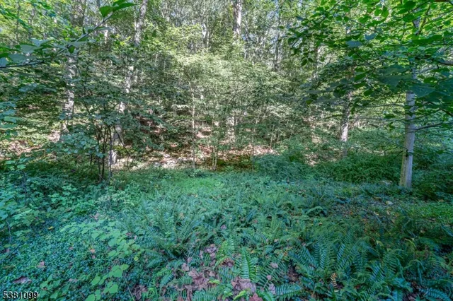 a view of a lush green space