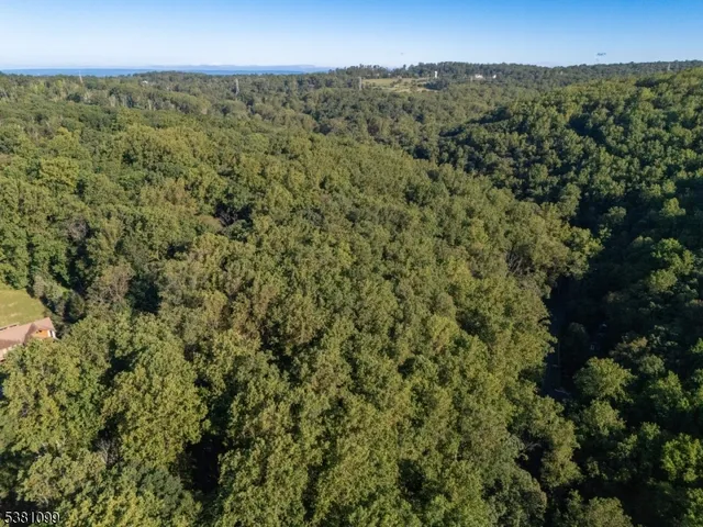 a view of a forest with a street