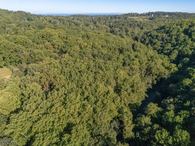 a view of a field with a tree in the background
