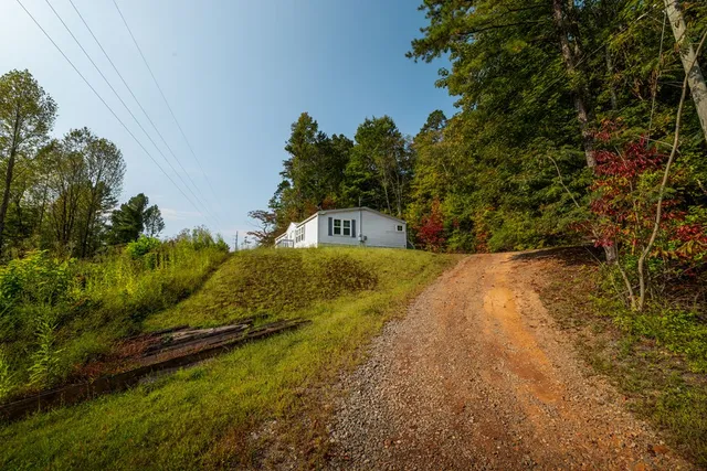 a view of a yard with plants and a trees