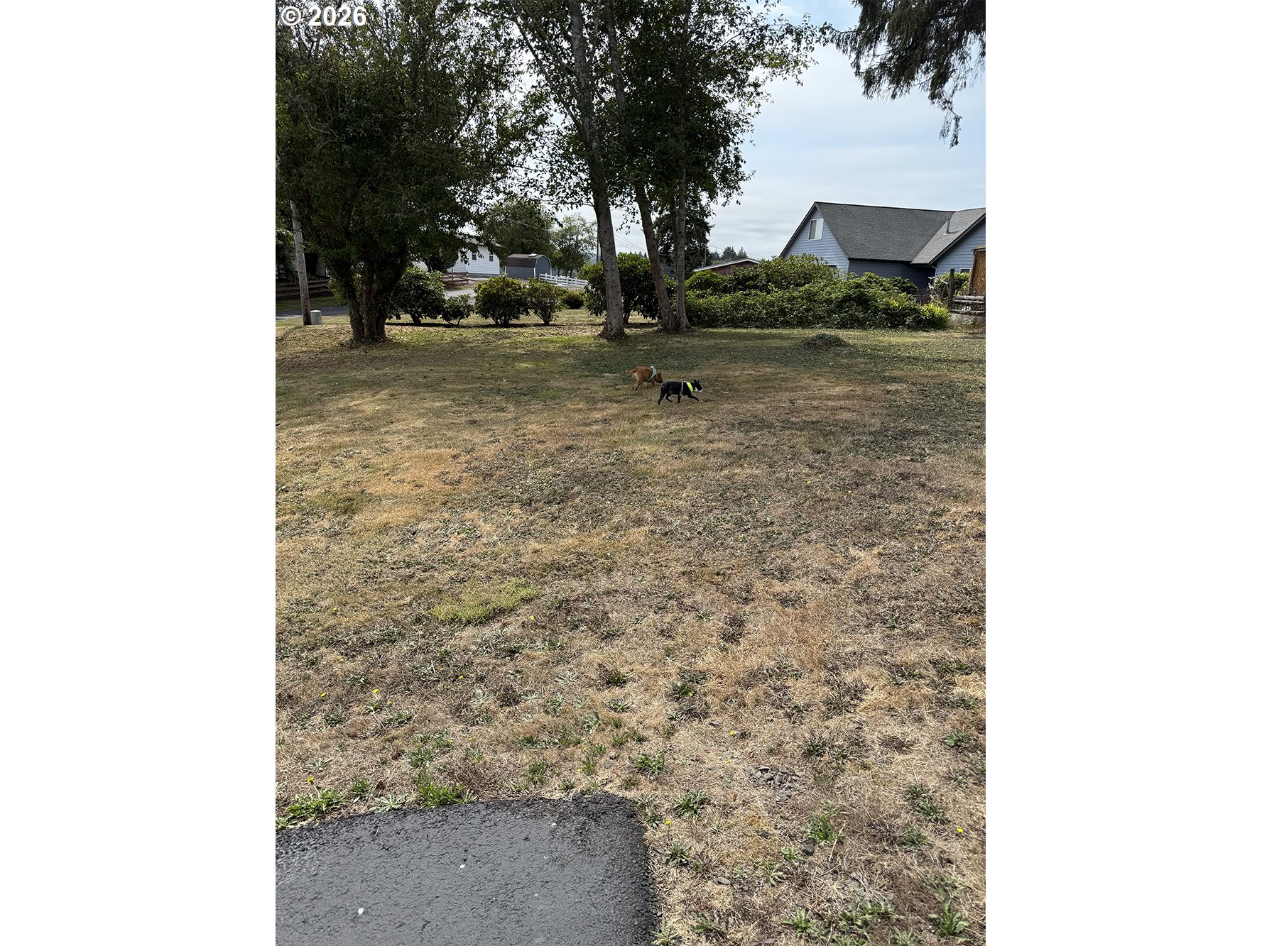 Northeast Johns Loop Neotsu, OR 97364 - Photo 2 of 4 a view of a yard with trees