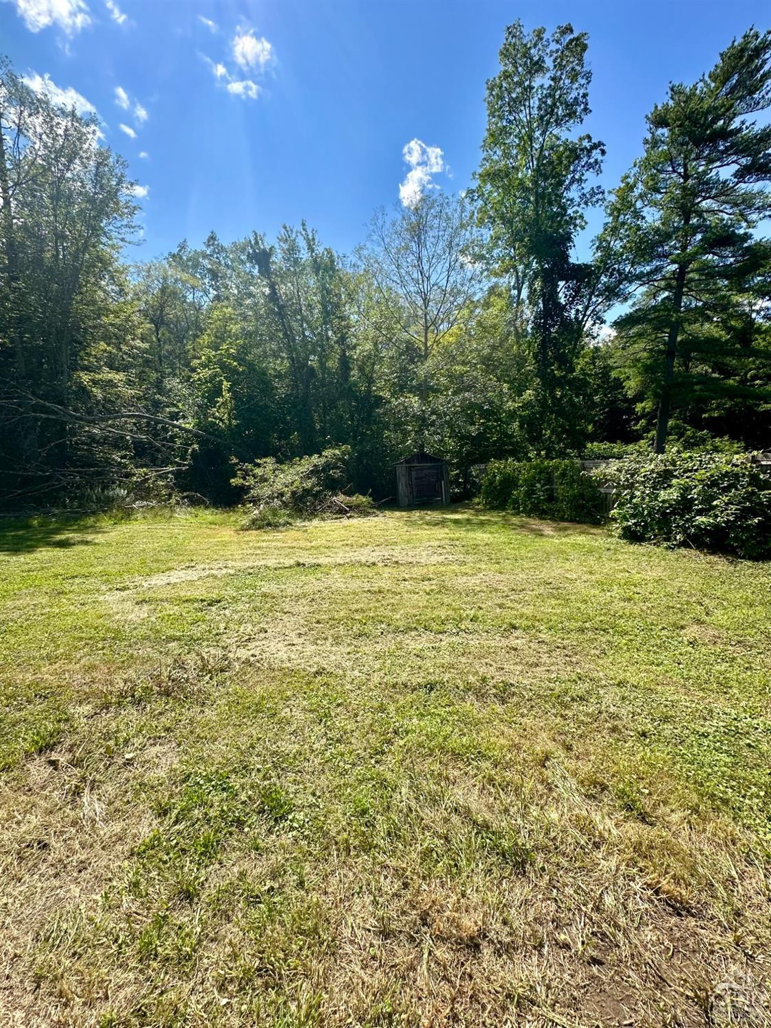 215 Vernal Butler Road Cairo, NY 12413 - Photo 18 of 24 a view of a pool with a yard