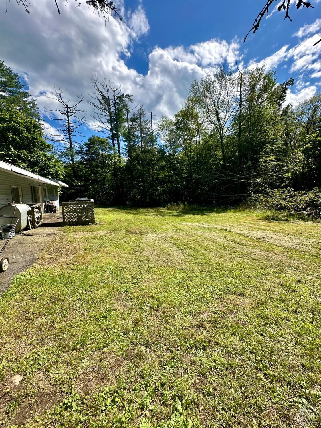 215 Vernal Butler Road Cairo, NY 12413 - Photo 19 of 24 a view of a swimming pool with an outdoor seating and a yard