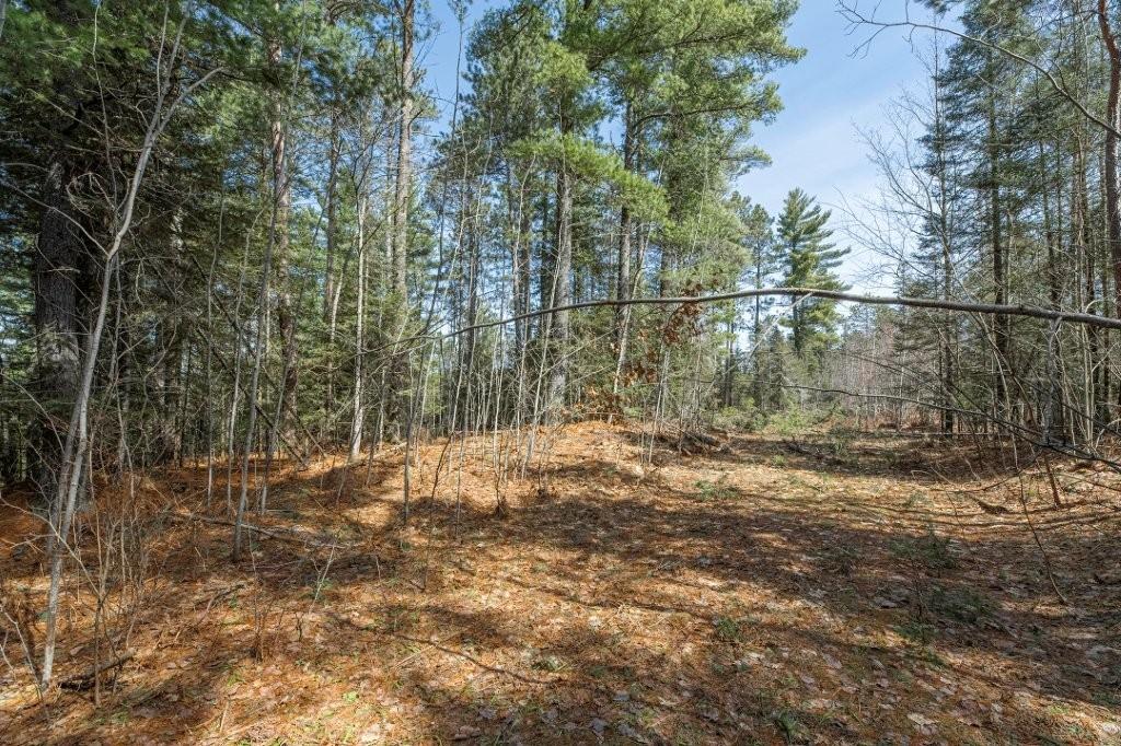 Off Natural Springs Road Presque Isle, WI 54557 - Photo 19 of 27 Gallery Image 19