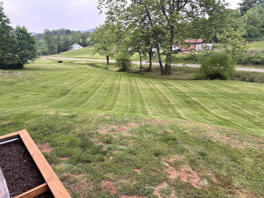 2638 Castleton Road Max Meadows, VA 24360 - Photo 3 of 46 a view of a yard with an outdoor space