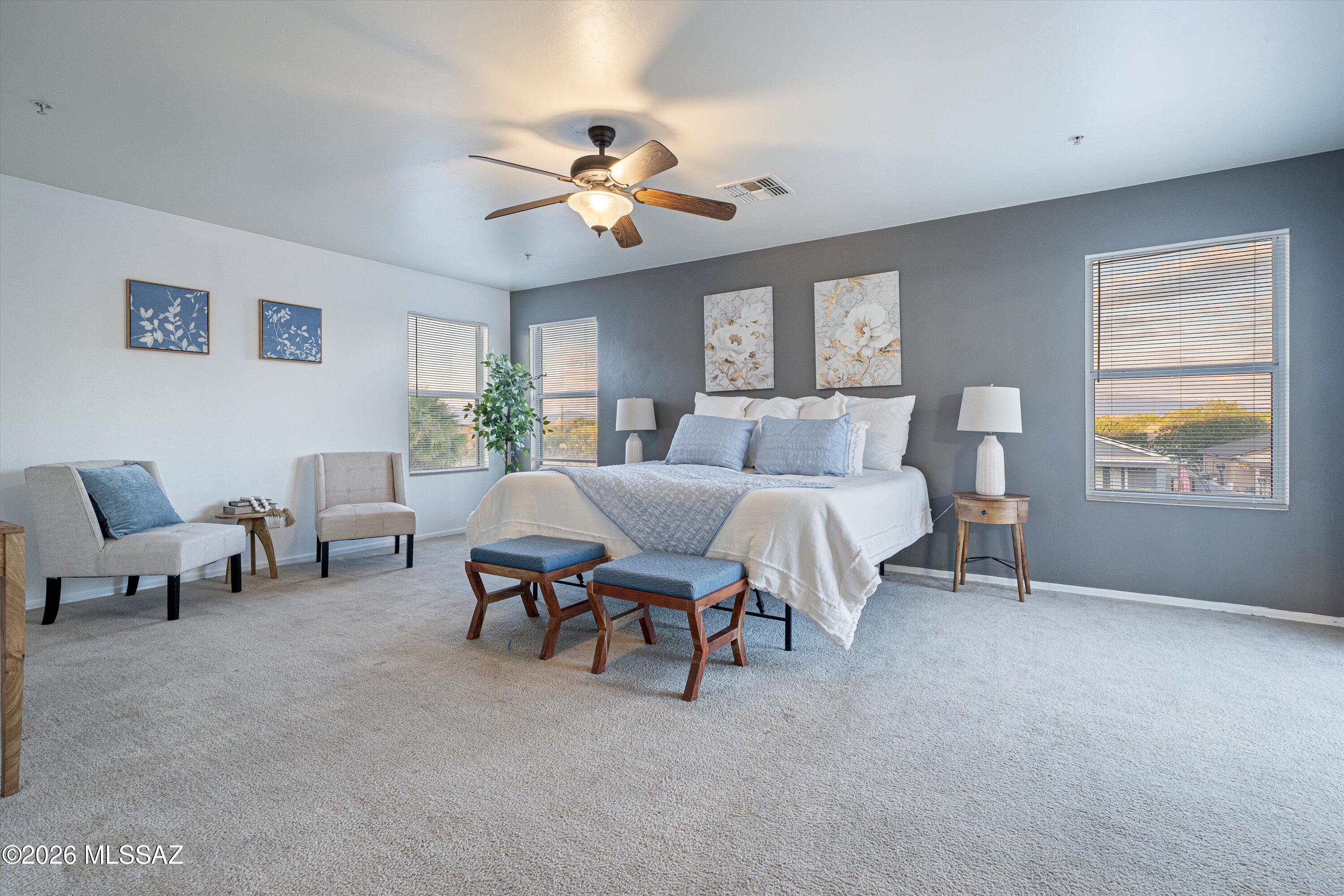 6851 South Salt Cedar Road Tucson, AZ 85756 - Photo 25 of 52 PRIMARY BEDROOM