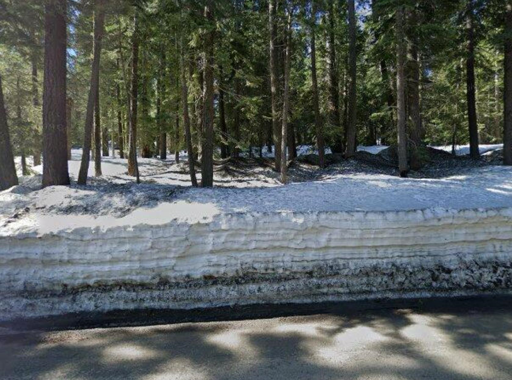 1187 Regency Way Tahoe Vista, CA 96148 - Photo 4 of 5 a view of a backyard with green space