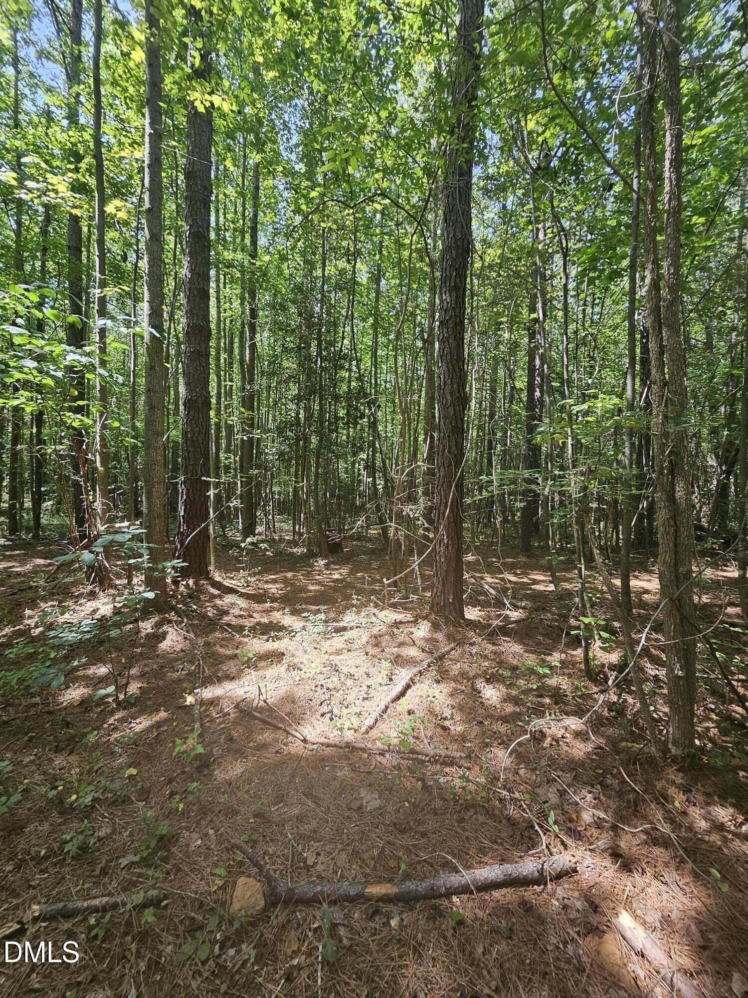 0 Crowder Road Castalia, NC 27816 - Photo 11 of 17 36325