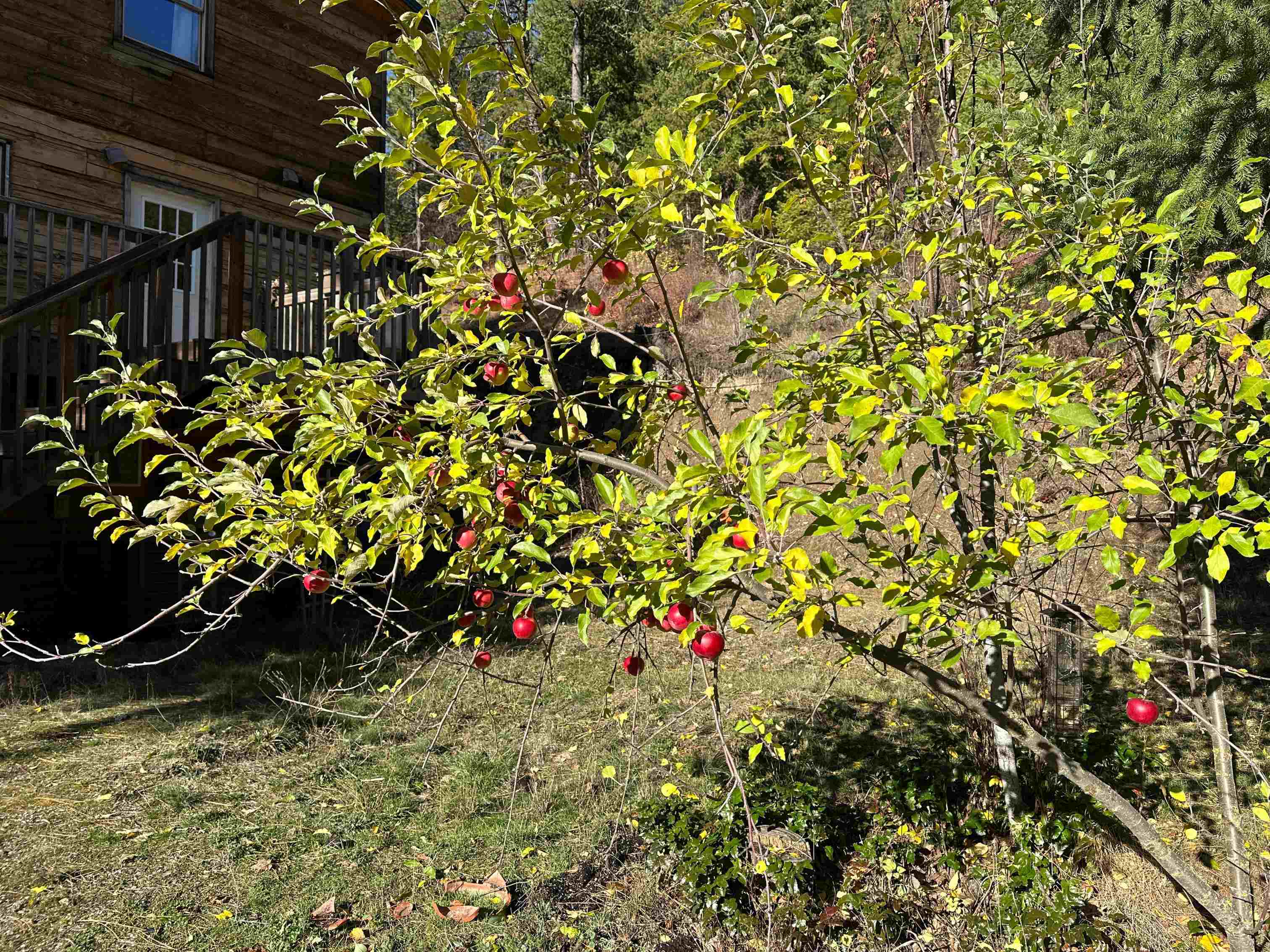 3979 Taylor Ranch Way Loon Lake, WA 99148 - Photo 25 of 37