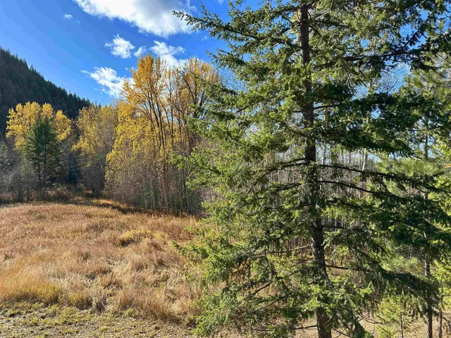 $510,000 | 3979 Taylor Ranch Way, Loon Lake, WA 99148