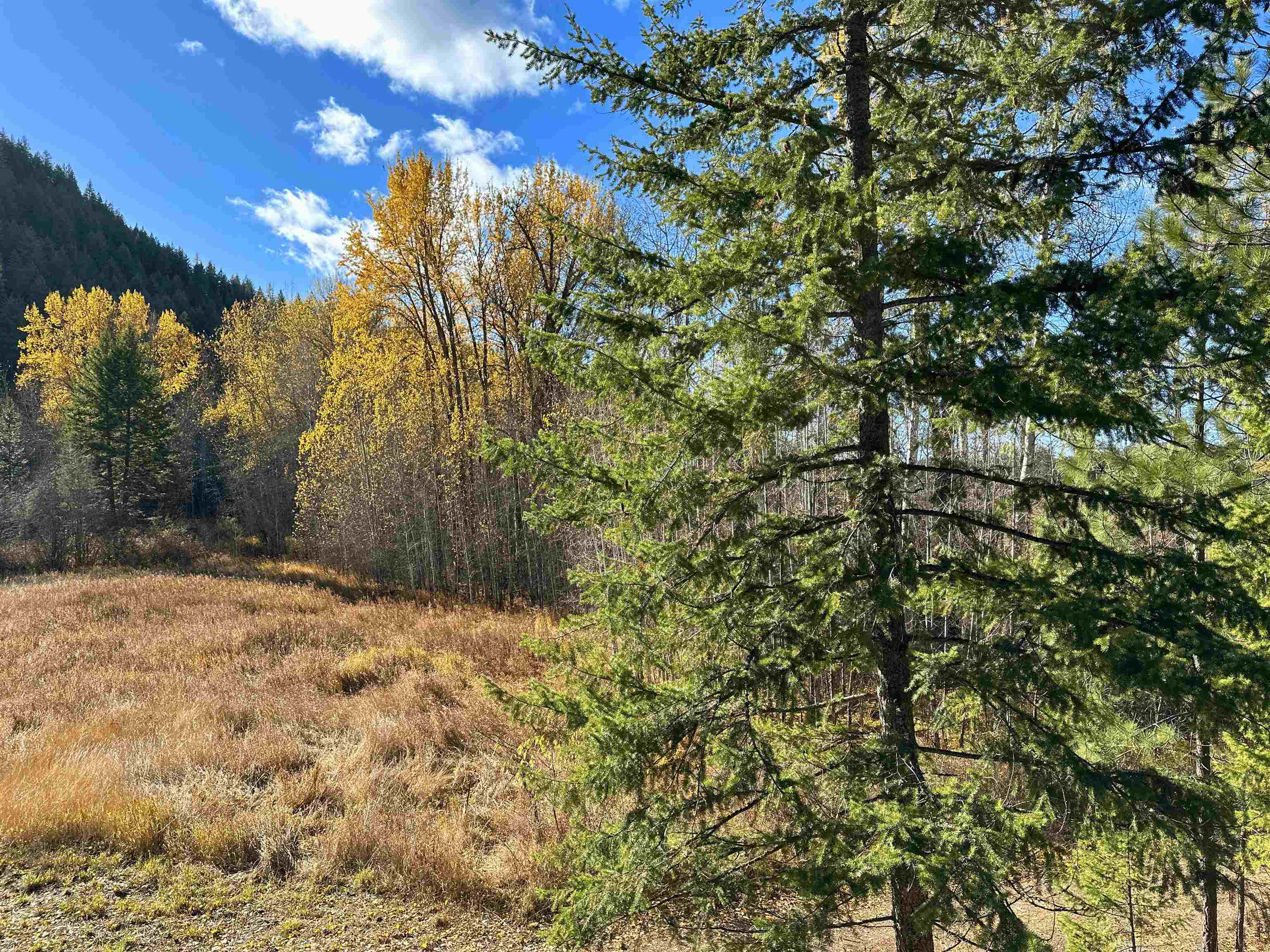 3979 Taylor Ranch Way Loon Lake, WA 99148 - Photo 30 of 37