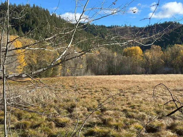 $510,000 | 3979 Taylor Ranch Way, Loon Lake, WA 99148