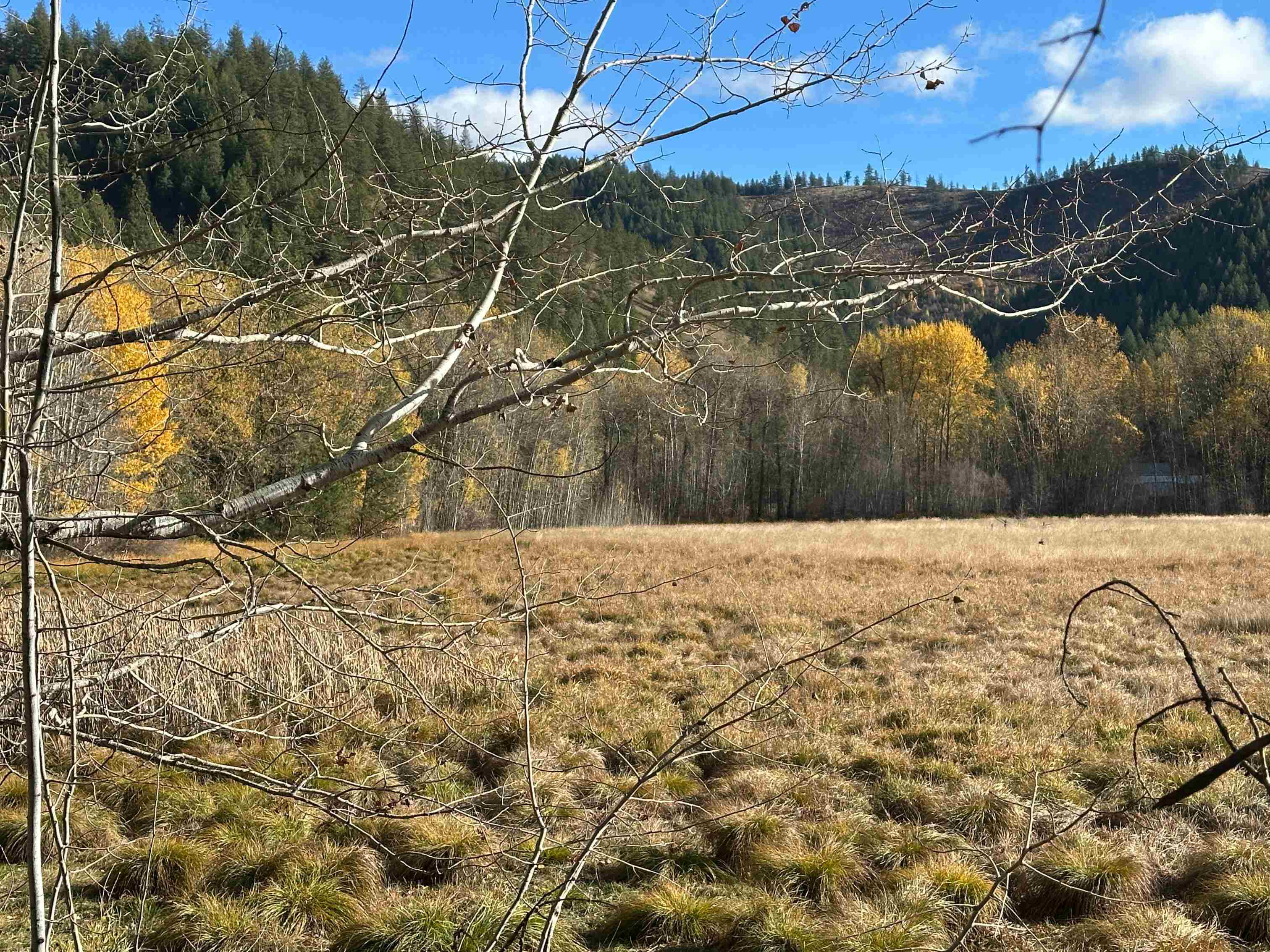 3979 Taylor Ranch Way Loon Lake, WA 99148 - Photo 31 of 37