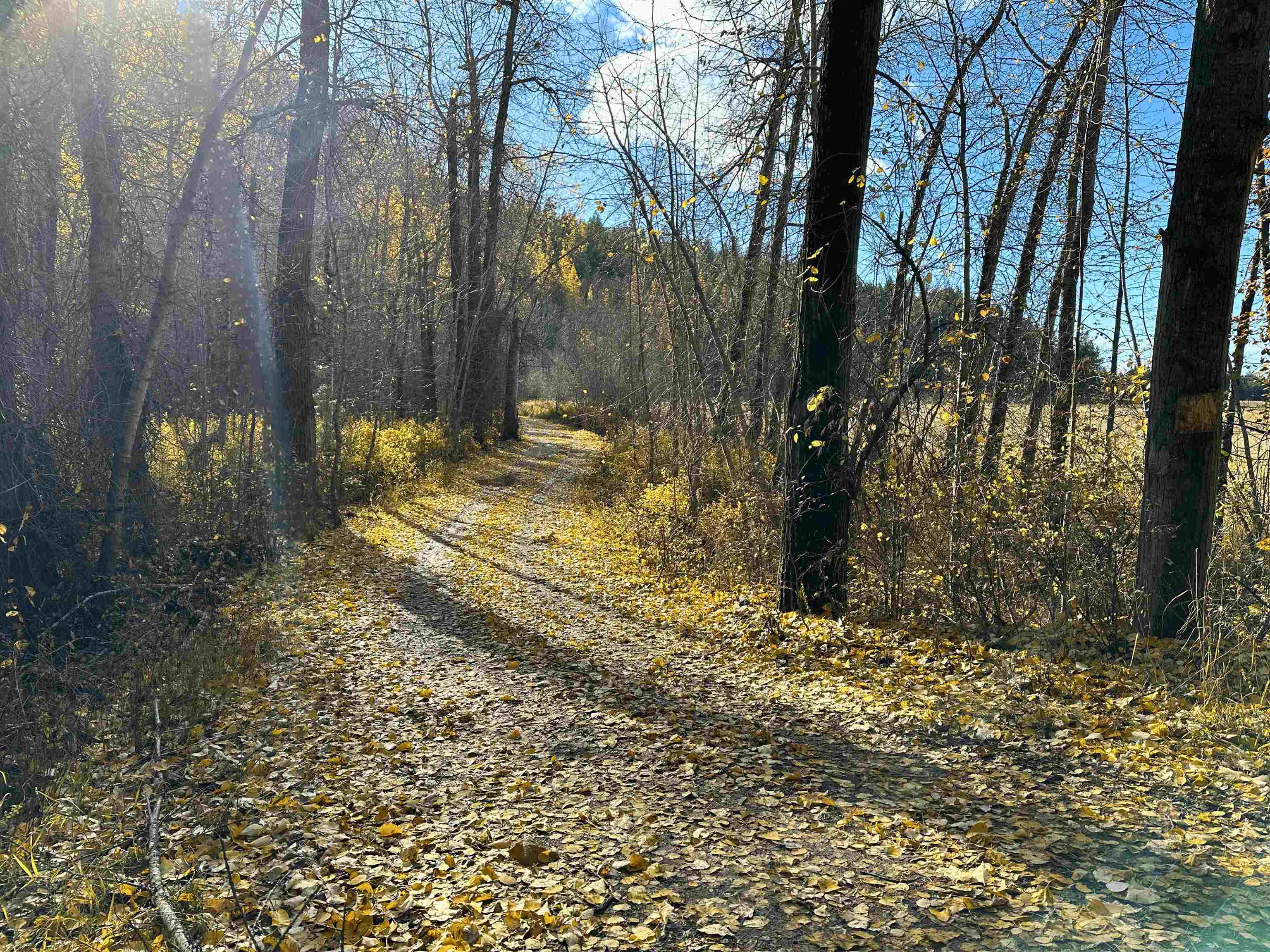 3979 Taylor Ranch Way Loon Lake, WA 99148 - Photo 32 of 37