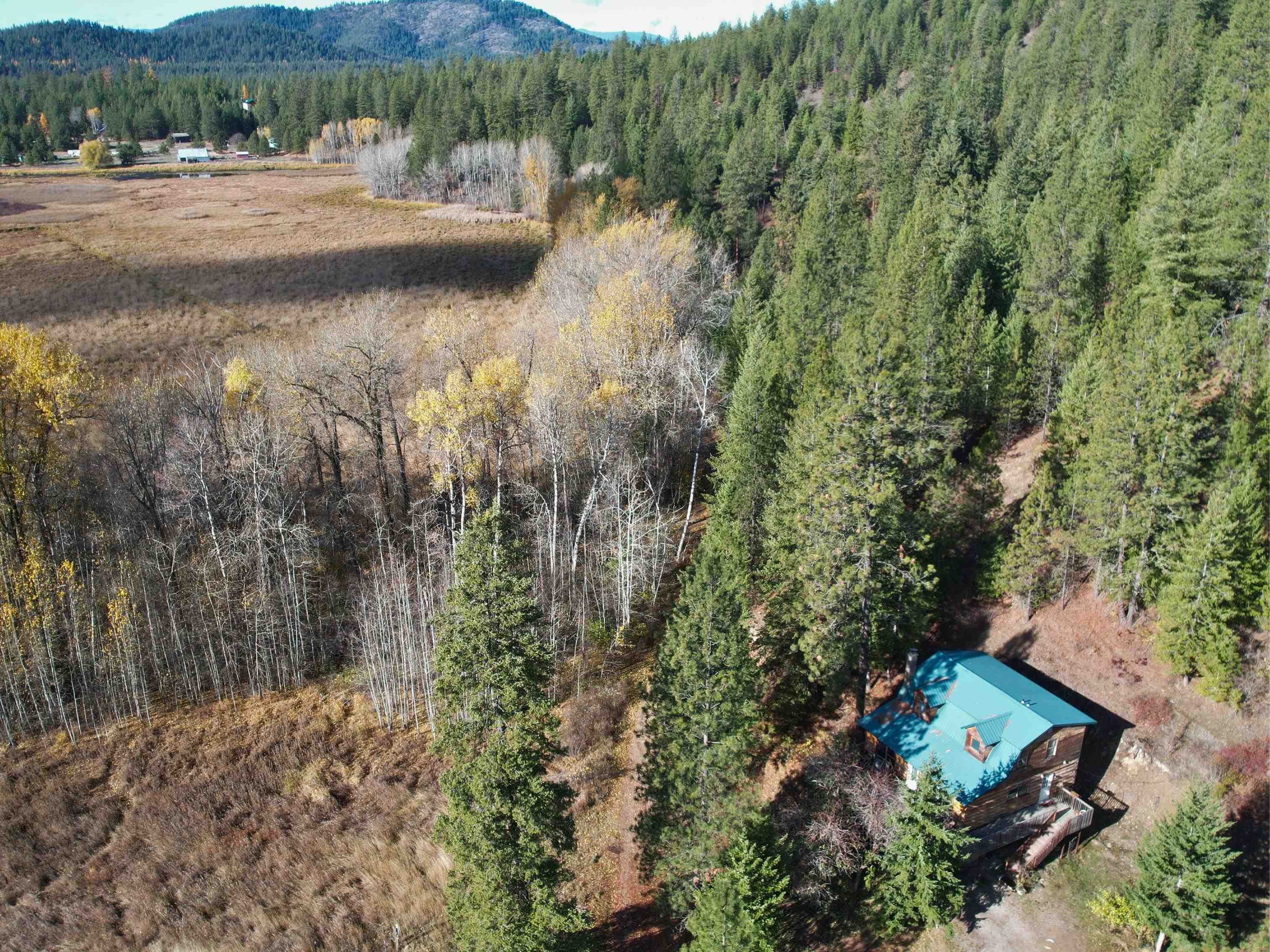 3979 Taylor Ranch Way Loon Lake, WA 99148 - Photo 35 of 37