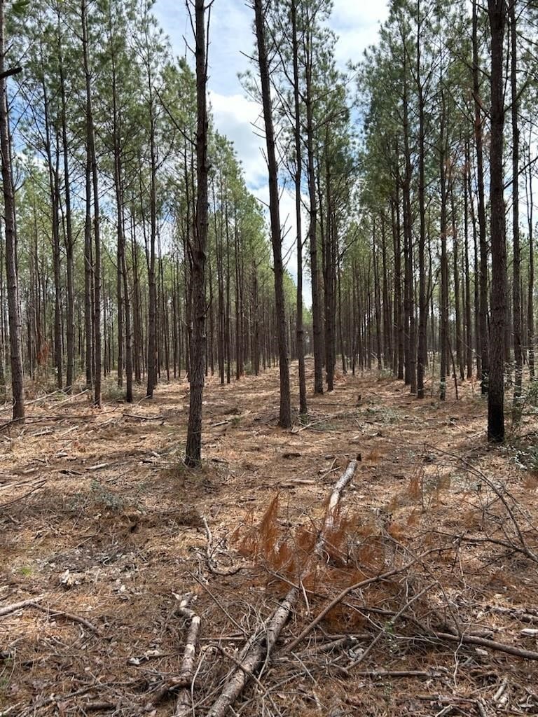 1 Lloyd Walker Road Huntington, TX 75949 - Photo 2 of 9