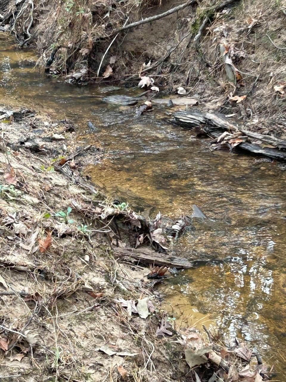 1 Lloyd Walker Road Huntington, TX 75949 - Photo 3 of 9