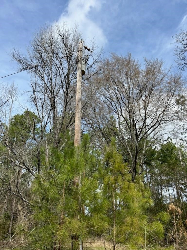 1 Lloyd Walker Road Huntington, TX 75949 - Photo 7 of 9