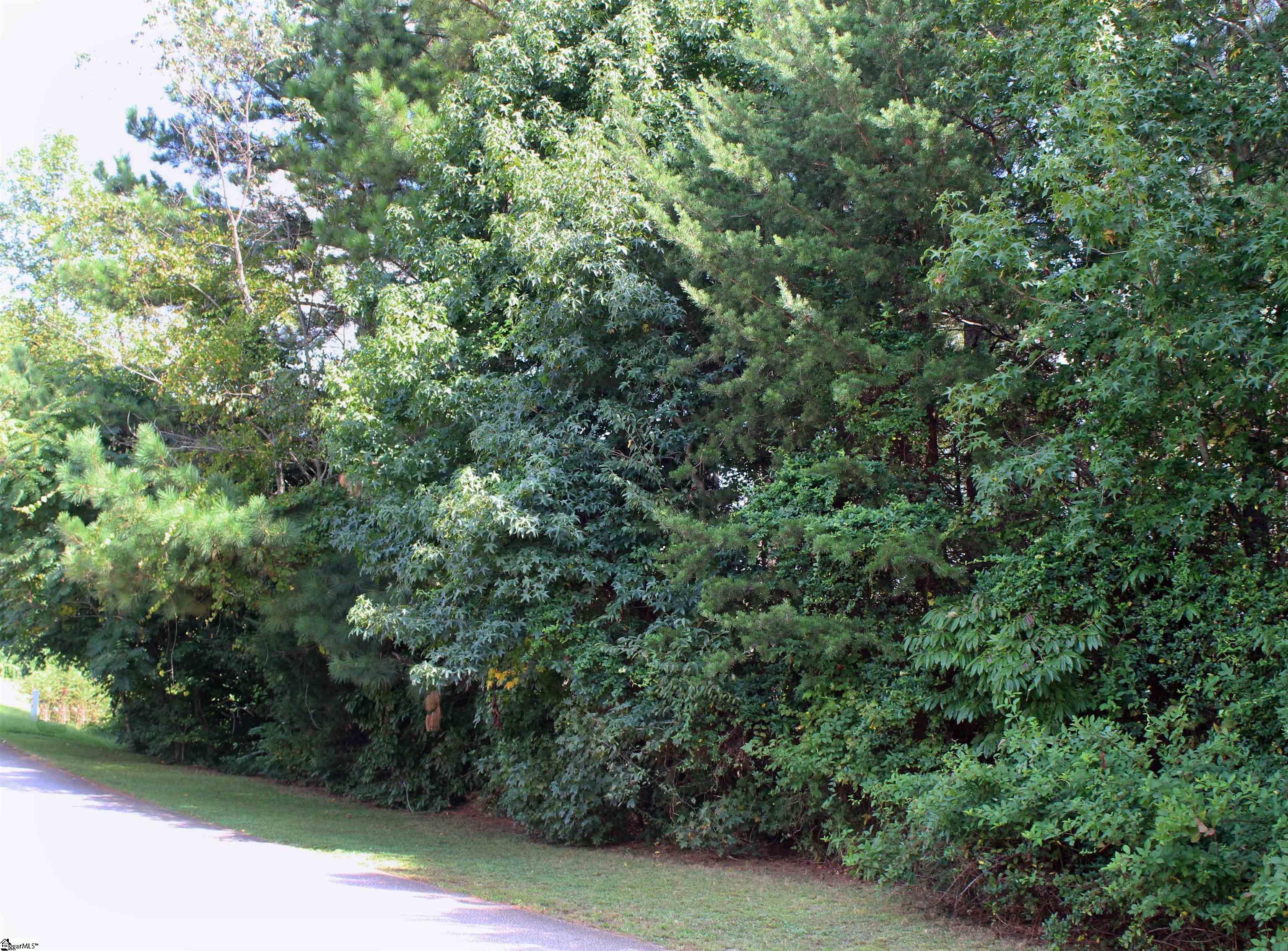 479 Packs Mountain Ridge Road Taylors, SC 29687 - Photo 1 of 3