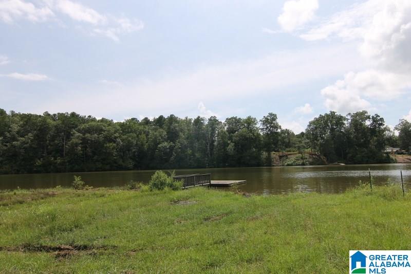 4312 County Road, Unit 17 Wedowee, AL 36278 - Photo 23 of 41