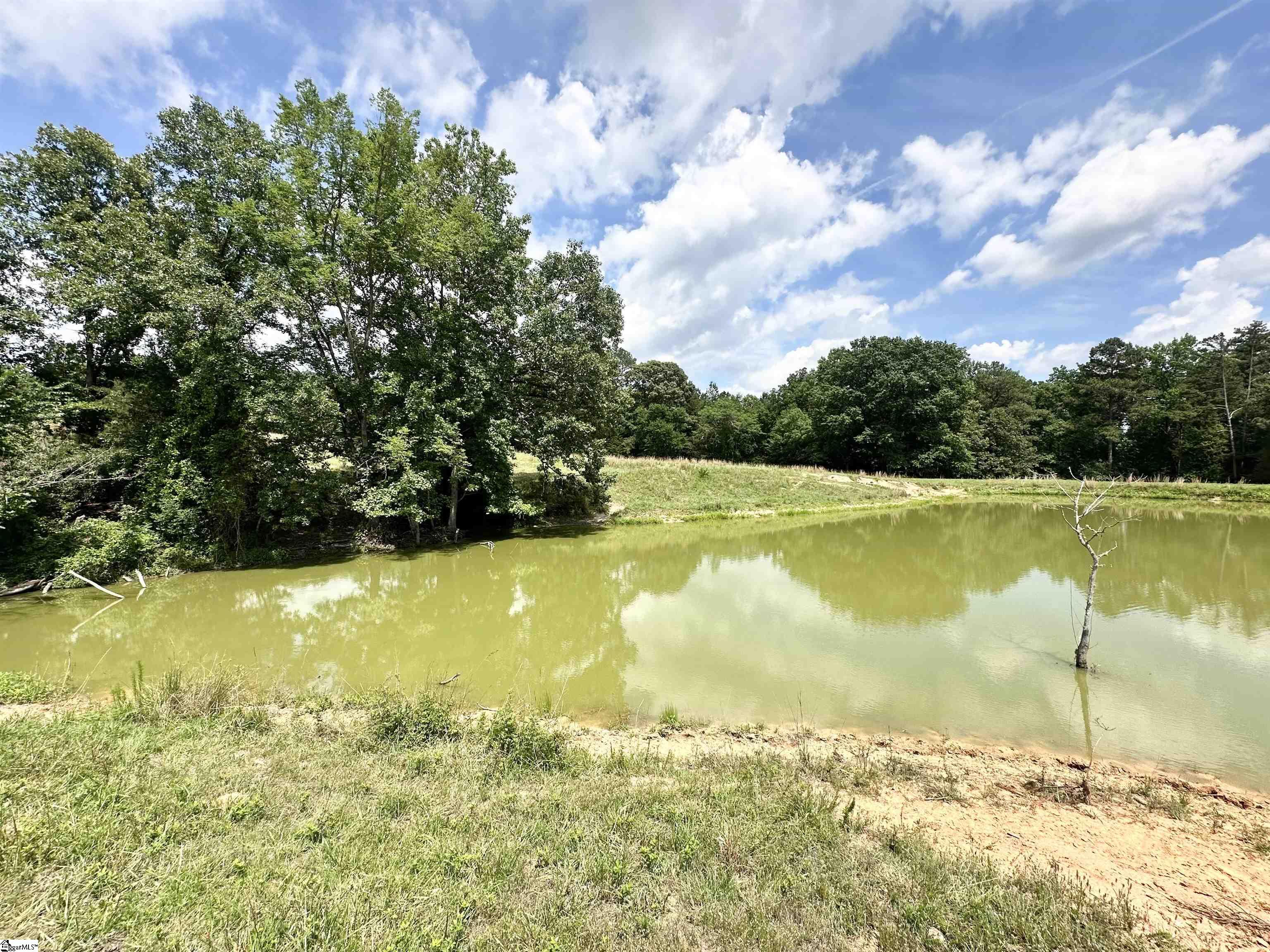 289 Deep Water Road Union, SC 29379 - Photo 50 of 50