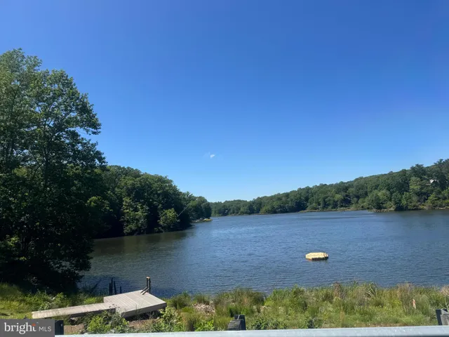 a view of field with grass and a trees