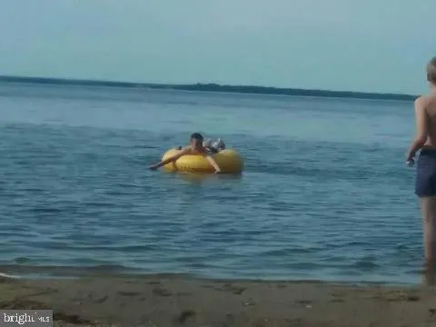 a view of a yard with an outdoor seating