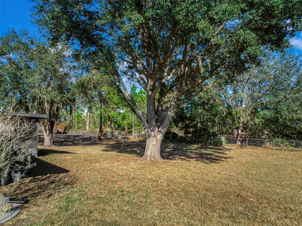 5740 Wolf Lake Road Sebring, FL 33875 - Photo 42 of 57