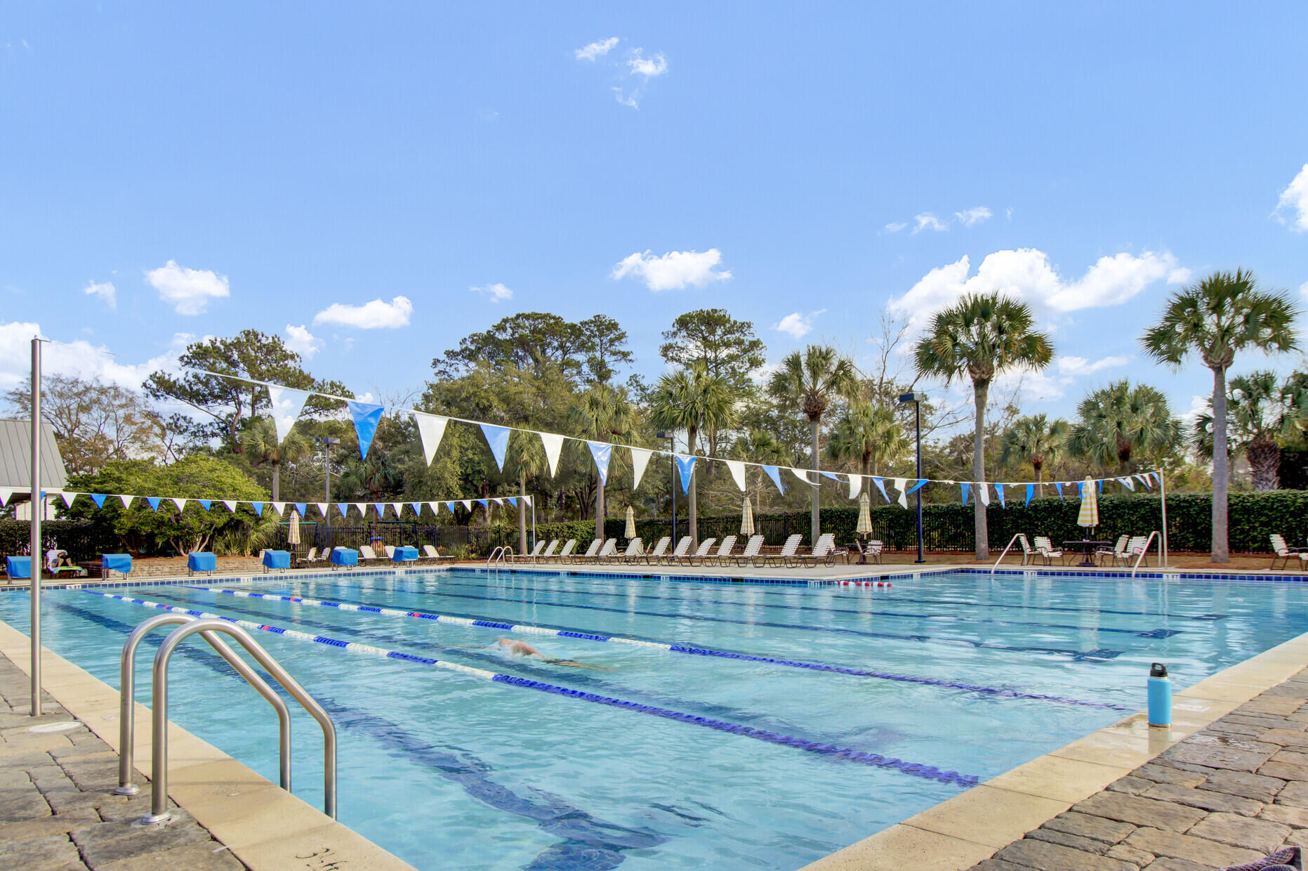 1705 Frissel Street Charleston, SC 29492 - Photo 65 of 81 147_12 (2)_mls