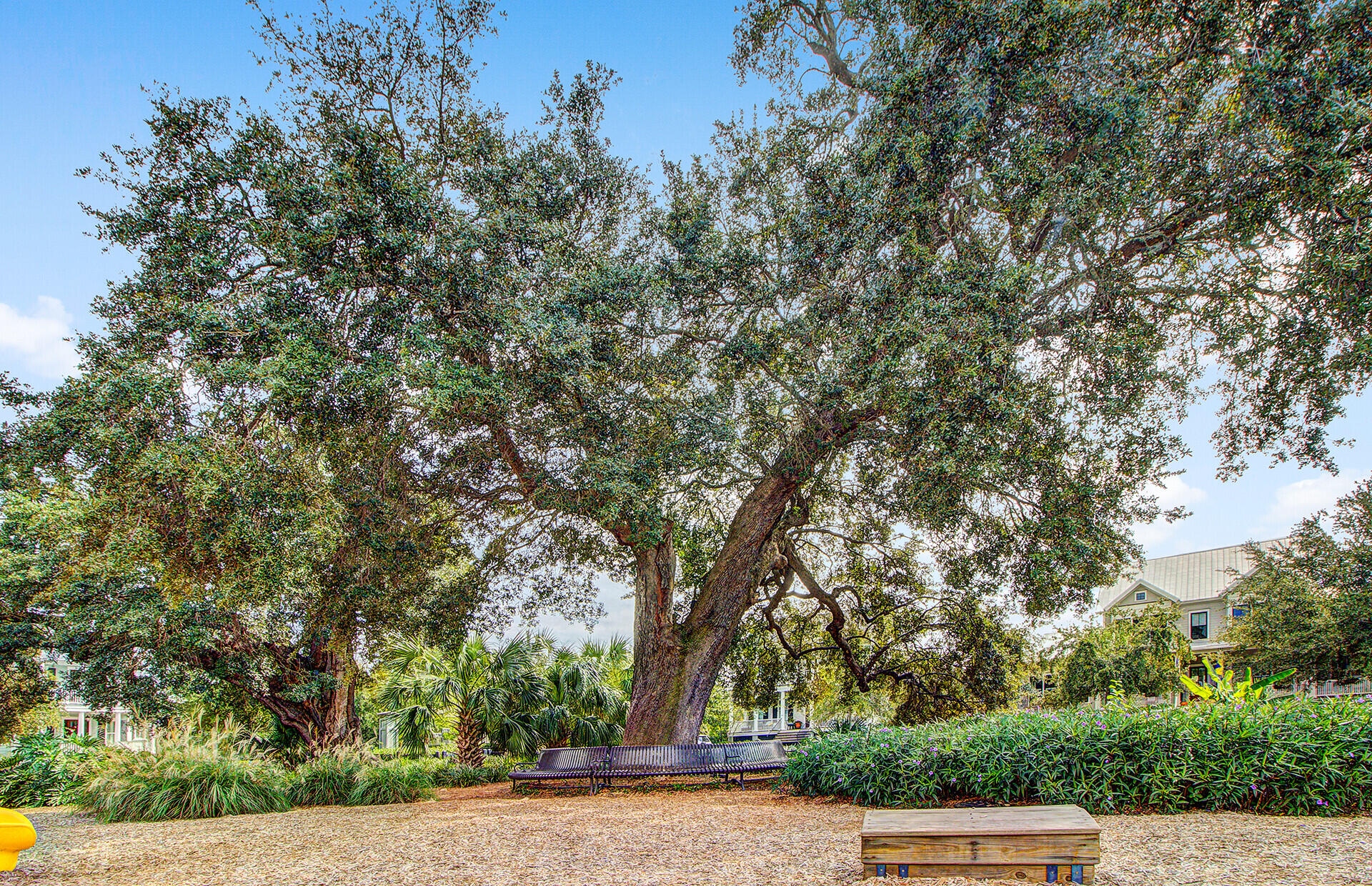 1705 Frissel Street Charleston, SC 29492 - Photo 79 of 81 115_27 (1)_mls