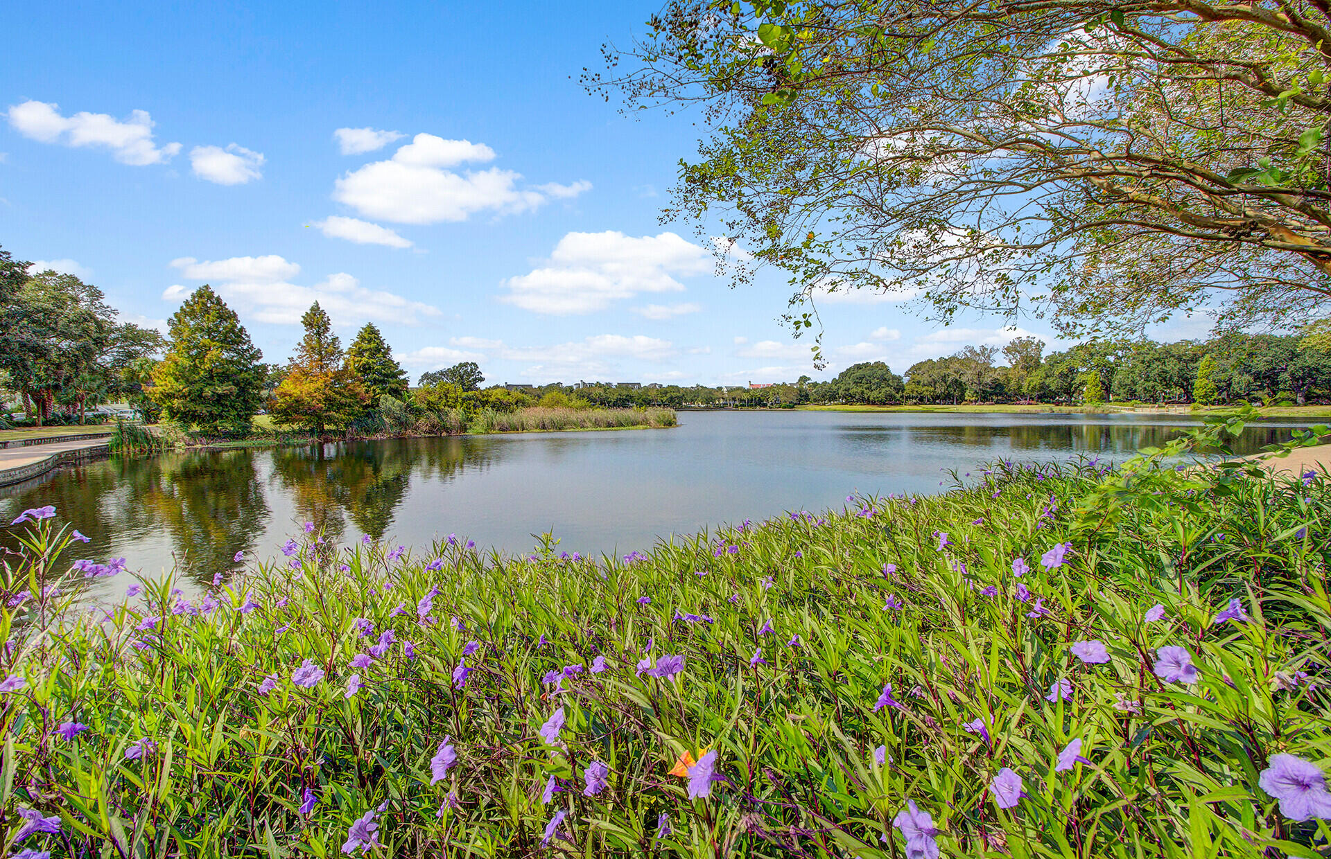 1705 Frissel Street Charleston, SC 29492 - Photo 80 of 81 116_28 (1)_mls