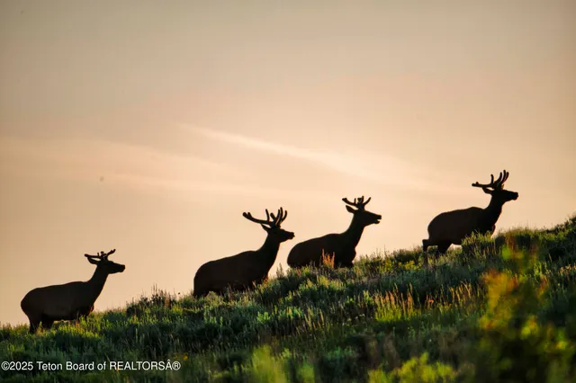 $39,500,000 | 3000 Riva Ridge Road, Jackson, WY 83001