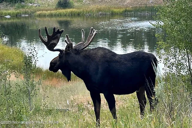 $39,500,000 | 3000 Riva Ridge Road, Jackson, WY 83001