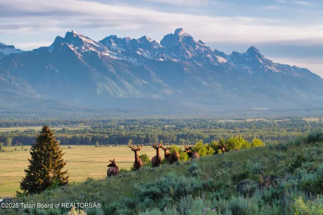 $39,500,000 | 3000 Riva Ridge Road, Jackson, WY 83001