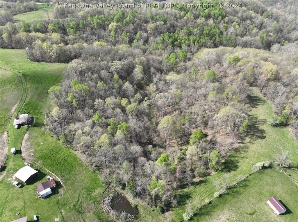 6066 Pleasant Ridge Road Gallipolis Ferry, WV 25515 - Photo 7 of 24 Gallery Image 7