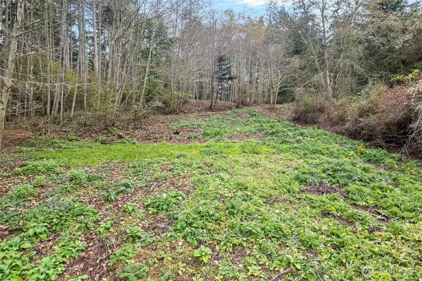 196 South Harrington Road Coupeville, WA 98239 - Photo 35 of 40 Gallery Image 35