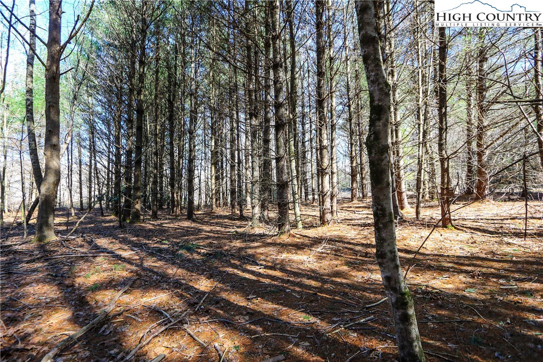 Lot 8 East Rivers Edge Boone, NC 28607 - Photo 3 of 32 Gallery Image 3