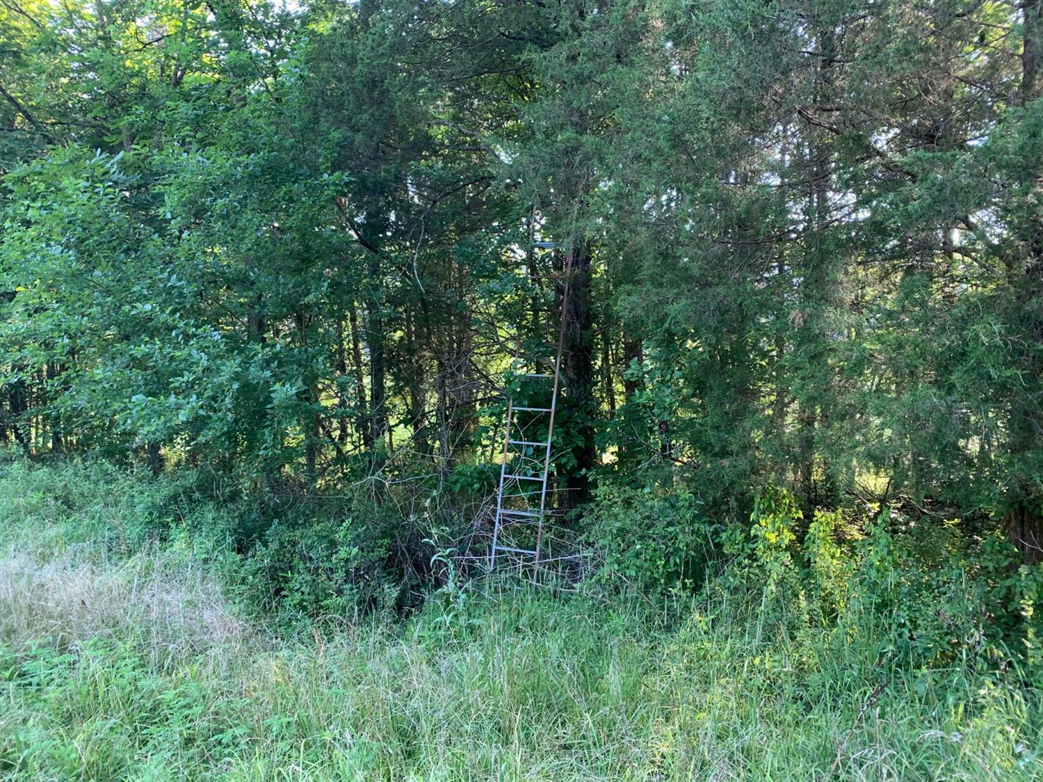 6444 Posten Road Vevay, IN 47043 - Photo 5 of 8