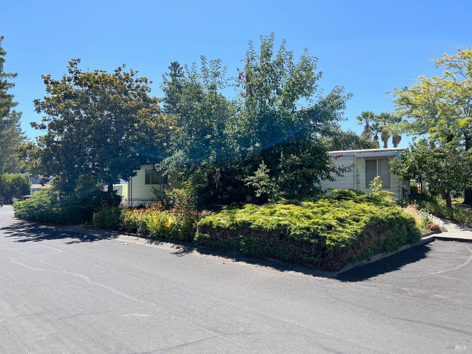 a view of a garden with a pathway