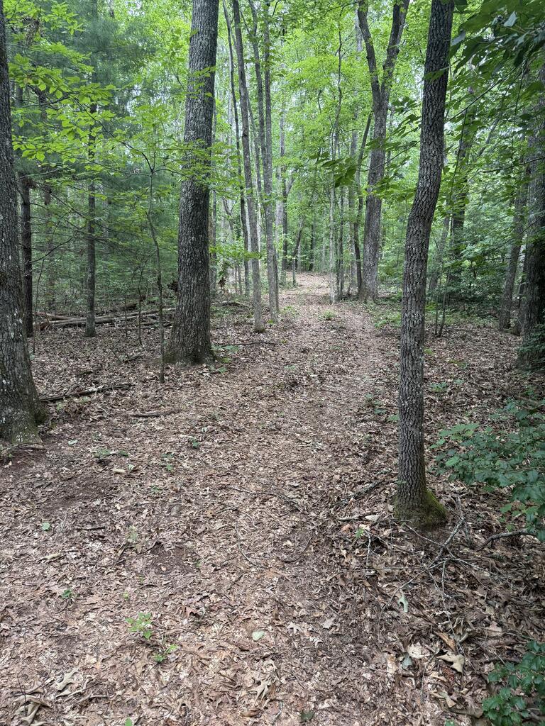 0 Henson Road Hayesville, NC 28904 - Photo 21 of 28 Gallery Image 21