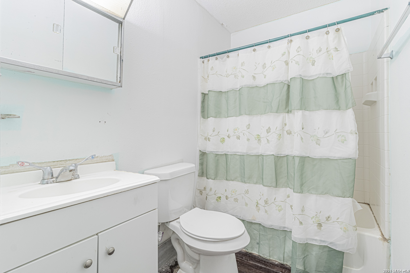 10805 Hollowell Road Atascosa, TX 78002 - Photo 26 of 33