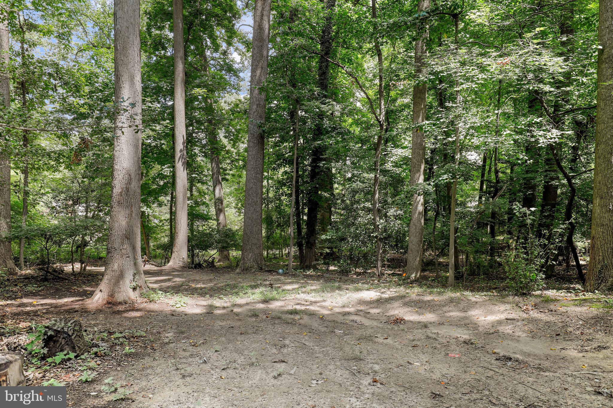 6100 Windham Road Laurel, MD 20707 - Photo 26 of 31 Gallery Image 26